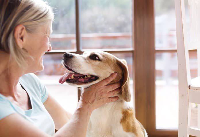 Can Companion Animals Support People with Mental Health Problems? - Medical  News Bulletin