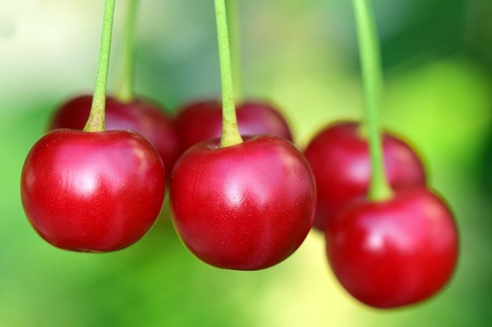 tart cherry benefits