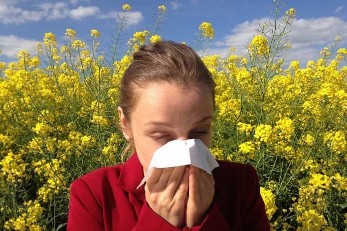 hay fever treatment