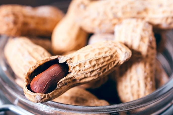 peanut allergy treatment