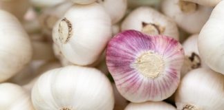 Are the claimed health benefits of garlic true?