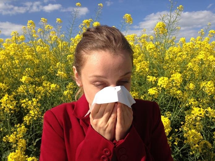 treat spring allergies