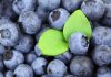 health benefits of eating blueberries