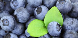 health benefits of eating blueberries