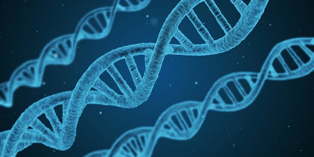 psychology of genetic testing