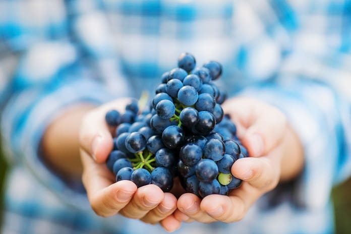resveratrol for depression and anxiety