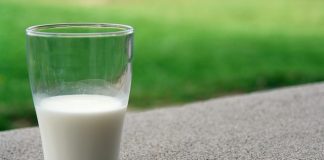 association between dairy intake and mortality