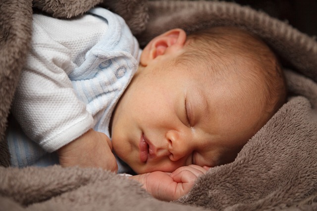preterm infant microbiome