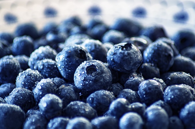 can blueberries improve aging and health