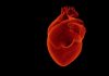 dapagliflozin in patients with heart failure