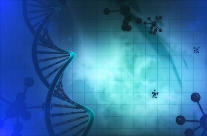 molecular changes in schizophrenia