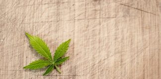 can cannabis replace opioids