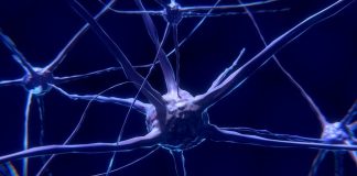 neural connections in children with autism
