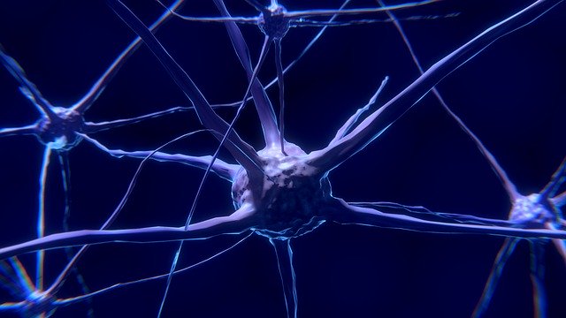 neural connections in children with autism