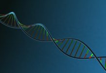 Is your DNA a good predictor of disease risk