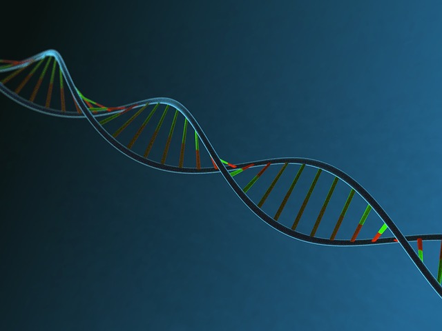 Is your DNA a good predictor of disease risk