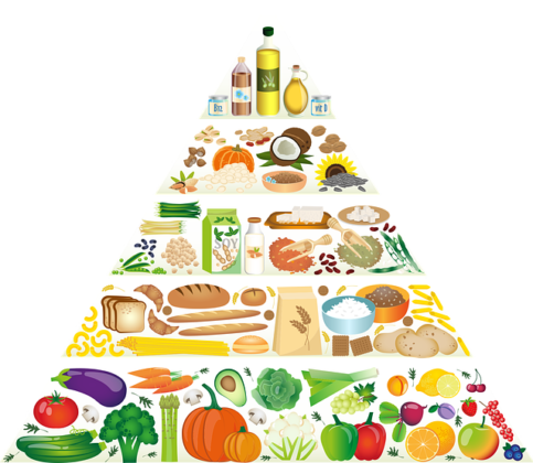 plant based diet overview