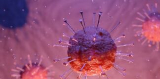 can coronavirus be killed by UV light