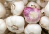 is garlic good for coronavirus