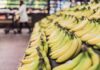 how healthy are bananas