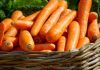 how healthy are carrots