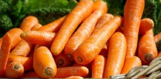 how healthy are carrots