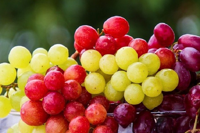 how healthy are grapes