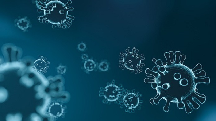 विशिष्ट एंटीबॉडी कई प्रकार के कोरोनावायरस के खिलाफ प्रभावी हो सकते हैं