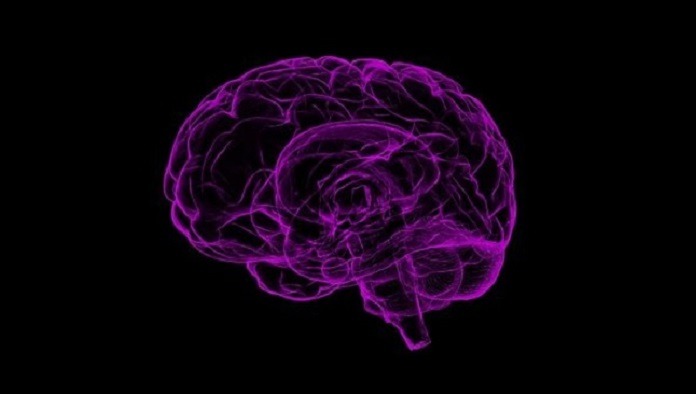 3D brain image