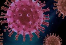 SARS-CoV-2 virus