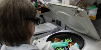 A scientist working in a lab to bring new drug approvals from clinical trials to the pharmacy.