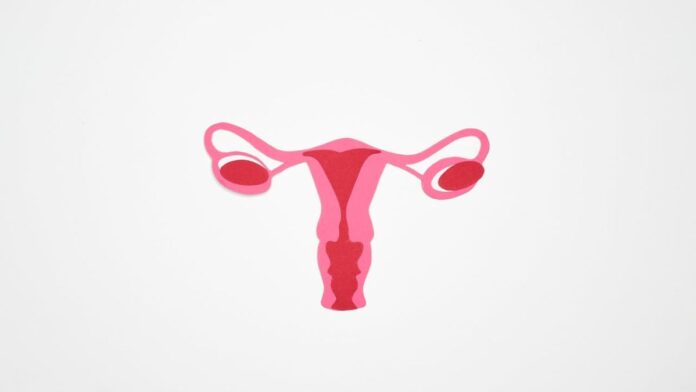 Non-invasive Testing for Endometriosis on the Way