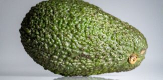 Photo of an avocado on a very clean flat surface.