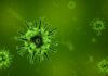Illustration of a virus at the microscopic level.