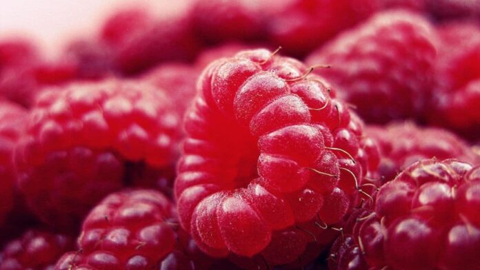 Close-up image of a bowl full of berries.