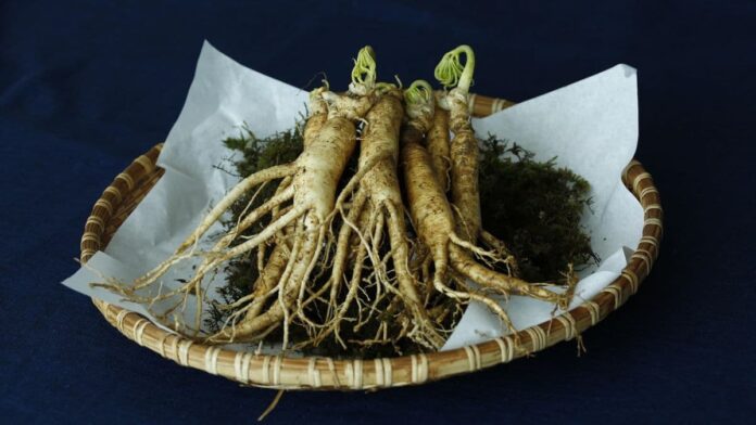 Do Adaptogens Work? - Image by whaltns17 from Pixabay