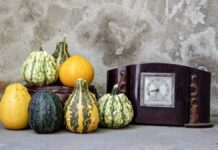 The IF metabolic hack myth - Image by Boris Hamer from Pexels