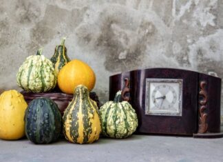 The IF metabolic hack myth - Image by Boris Hamer from Pexels