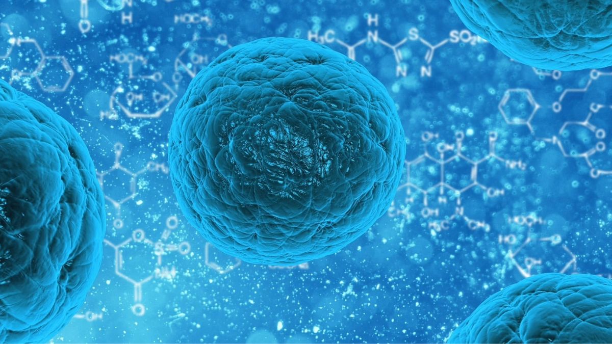 How Precision Medicine and Small Molecule Research Are Improving Modern Cancer Care How Precision Medicine and Small Molecule Research Are Improving Modern Cancer Care